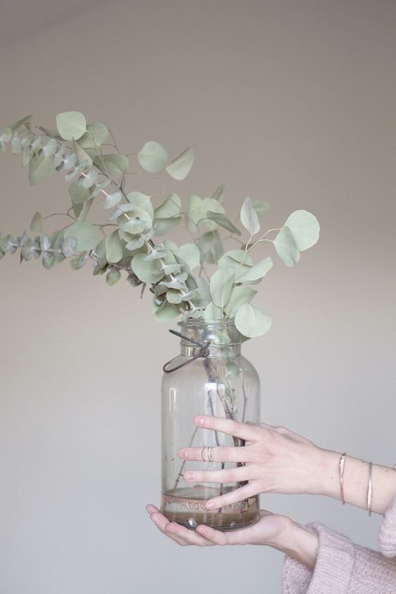 核桃树修剪方法:掌握技巧,提升果实品质