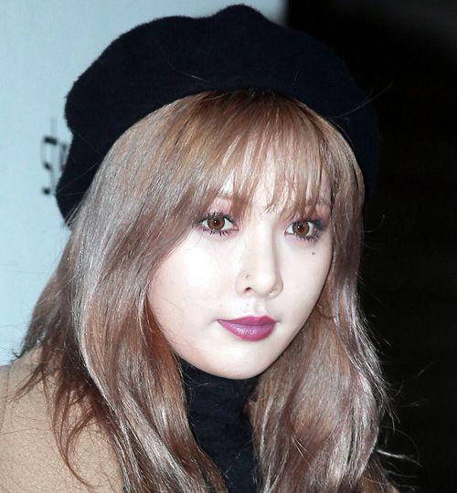 40多天的狗狗吃多少:新手宠物父母的养育指南